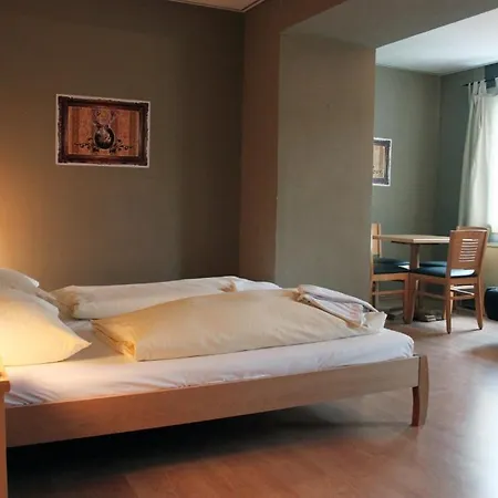 Hotel Hirschen Hotel 3*